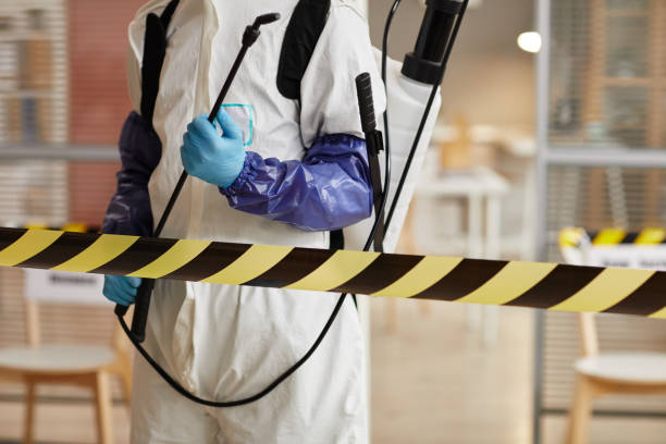 Professional Sewage Cleanup technician working in Litchfield, MI
